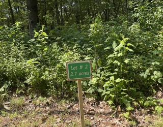 293 Warren Rd, Brimfield, Massachusetts, ,Land,For Sale,Warren Rd,73409814