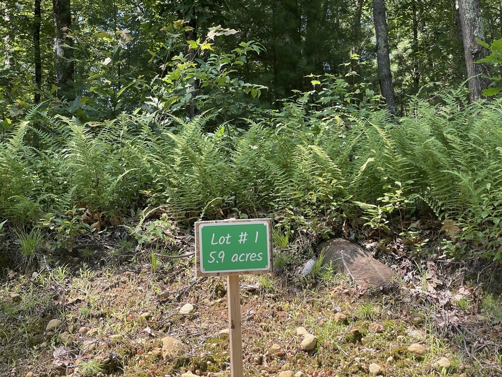 291 Warren Rd, Brimfield, Massachusetts, ,Land,For Sale,Warren Rd,73409813