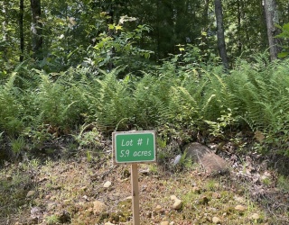 291 Warren Rd, Brimfield, Massachusetts, ,Land,For Sale,Warren Rd,73409813