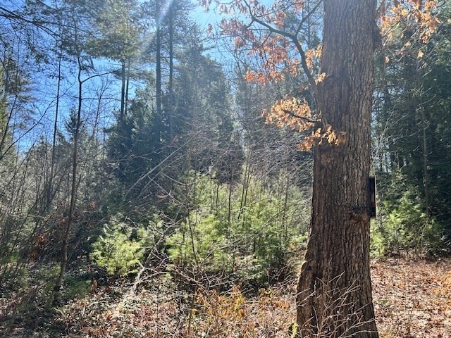 0 Neale Rd, Royalston, Massachusetts, ,Land,For Sale,Neale Rd,73332075