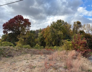 24 Dumaine St, Wilbraham, Massachusetts, ,Land,For Sale,Dumaine St,73412659