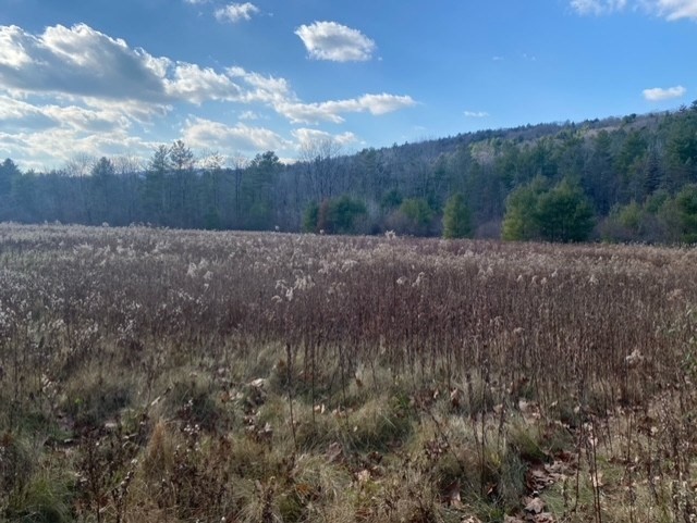 0 E Alford Rd, West Stockbridge, Massachusetts, ,Land,For Sale,E Alford Rd,73413225