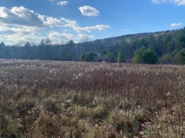 0 E Alford Rd, West Stockbridge, Massachusetts, ,Land,For Sale,E Alford Rd,73413225