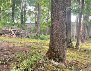 0 Lanes End, Ipswich, Massachusetts, ,Land,For Sale,Lanes End,73413544