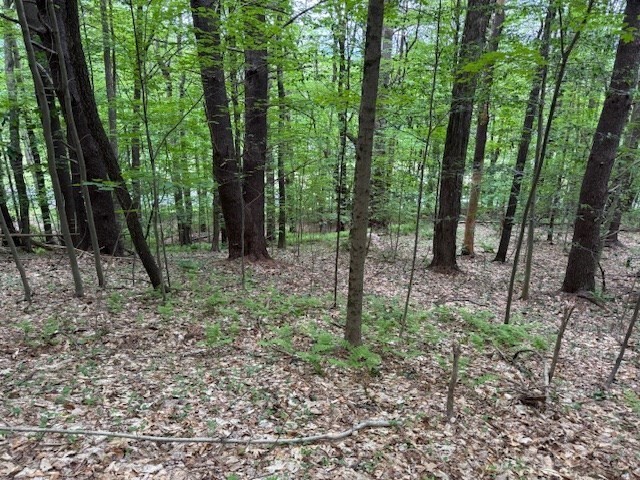 56 Brattleboro Rd, Bernardston, Massachusetts, ,Land,For Sale,Brattleboro Rd,73382267