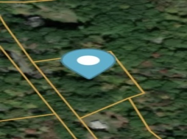 345 W Sutton Rd, Sutton, Massachusetts, ,Land,For Sale,W Sutton Rd,73403035