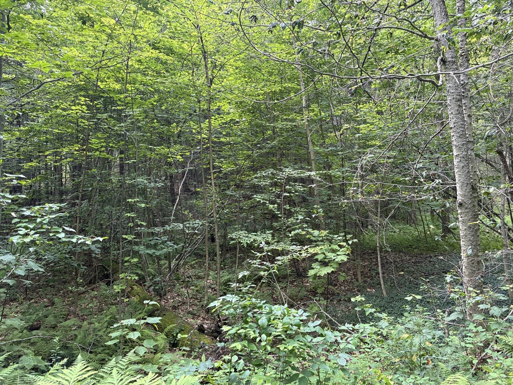 139 Taylor Brook Rd, Heath, Massachusetts, ,Land,For Sale,Taylor Brook Rd,73415058