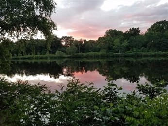 12-1. Royce Rd, Boston, Massachusetts, 1 Bedroom Bedrooms, 4 Rooms Rooms,1 BathroomBathrooms,Residential Lease,For Rent,Royce Rd,73412267